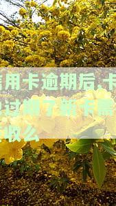 信用卡逾期后,卡也过期了新卡是否需要签收？逾期对办新卡有影响吗？