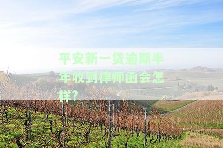 平安新一贷逾期60天，能与银行协商展期吗？