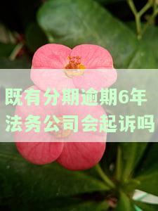 既有分期逾期三年被法院起诉，如何应对？