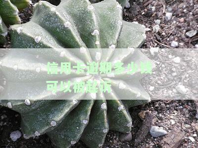 '信用卡逾期无力偿还，会坐牢并影响后代吗？'