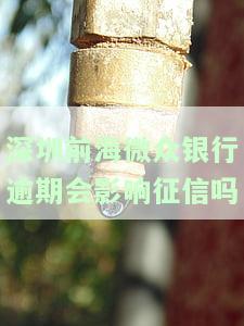 深圳前海微众银行被贷款，独家：深圳前海微众银行涉嫌违规放贷，引发社会关注