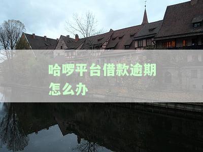 哈啰平台借款逾期：如何办理期或分期还款？