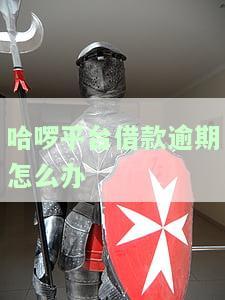哈啰出行逾期怎么回事，哈啰出行：用户逾期原因解析