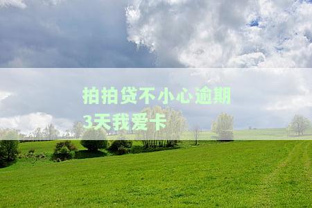拍拍贷逾期3天会怎么样拍拍贷逾期后果介绍，警惕！拍拍贷逾期3天的严重后果你不可不知