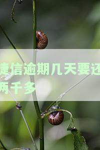 捷信逾期几天以后多了一千多什么情况，捷信逾期几天后账单增加一千多元，原因解析