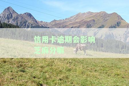 2021年信用卡逾期影响征信，警惕！2021年信用卡逾期将严重影响个人征信记录