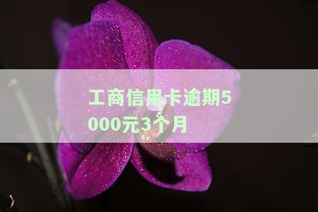 '工商信用卡5000逾期三年，要还多少?' (36个字节)