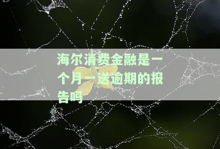 海尔消费金融还下款吗，海尔消费金融：您的贷款申请处理中，预计何时能够完成放款？