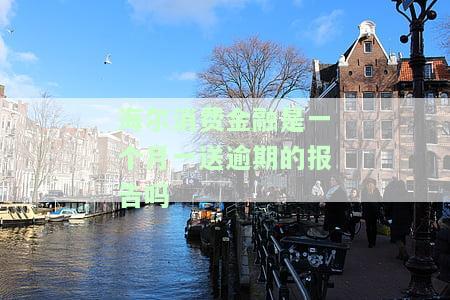 海尔消费金融有人还吗，探究海尔消费金融的还款情况：是否有人成功偿还？