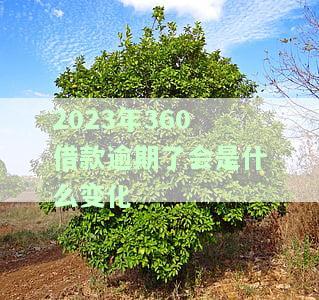 2021年360逾期，警示：2021年360逾期，切勿忽视还款责任！