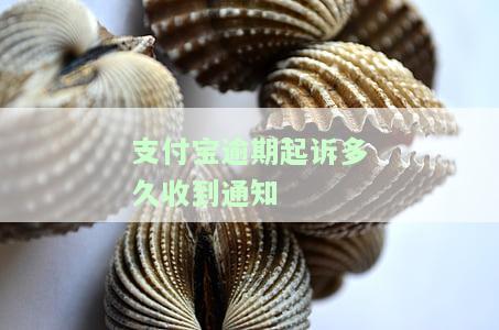 支付宝逾期起诉多久收到通知书？时间长短取决于具体情况