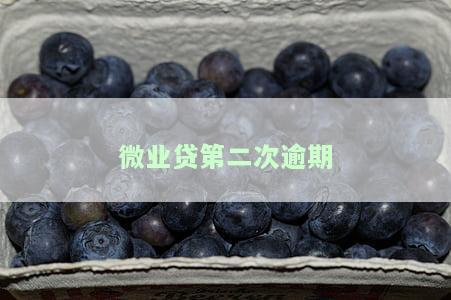 微业贷逾期怎么办，如何解决微业贷逾期问题？