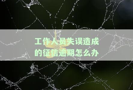 工作人员工作失误可以问责吗，问责机制：工作人员工作失误是否应受追究？