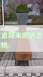 税逾期未申报怎么处理，如何解决税逾期未申报问题？