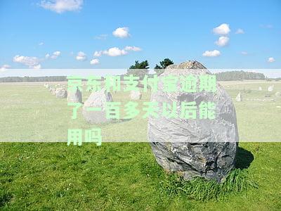 京东和支付宝逾期了一百多天以后能用吗安全吗，京东与支付宝逾期一百多天后能否继续使用？安全性如何？