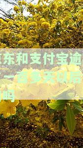 京东支付宝逾期一年，能协商还款吗？逾期三四年又如何处理？