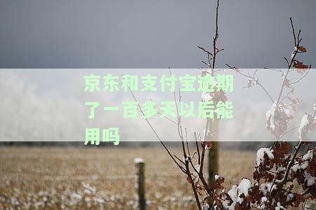 京东和支付宝逾期了一百多天以后能用吗-京东和支付宝逾期了一百多天以后能用吗
