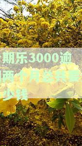 分期乐欠3000块钱逾期了会被起诉吗，分期乐欠款3000逾期未还，可能面临被起诉风险！