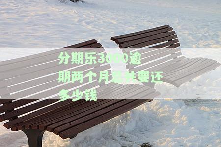 分期乐3000逾期两个月总共要还多少钱-分期乐欠款3000多逾期两个月会怎么样