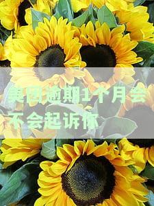 美团逾期1个月会起诉吗？该如何处理？