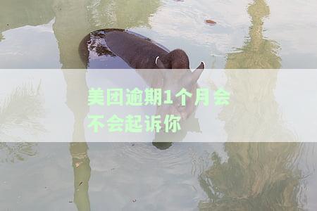 美团逾期一个月还款后被起诉偿还全部金额，美团用户逾期一月还款，遭起诉要求偿还全部金额