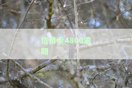 信用卡4800逾期两年整是否会被起诉？信用卡4000逾期两年还款金额及后果