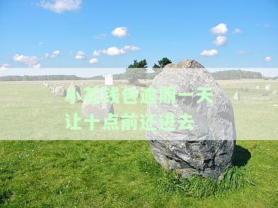 小花钱包逾期一天让十点前还进去会怎么样，逾期一天还款：小花钱包的后果与解决方法