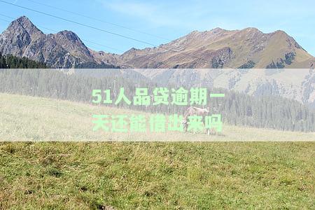 51人品贷逾期一天就爆通讯录？该怎么办？