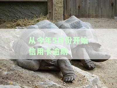 从今年5月起信用卡逾期，如何处理及可能后果？