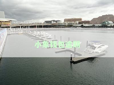 小象钱包逾期一天征信会不会有记录，逾期一天会影响征信吗？小象钱包为你解答