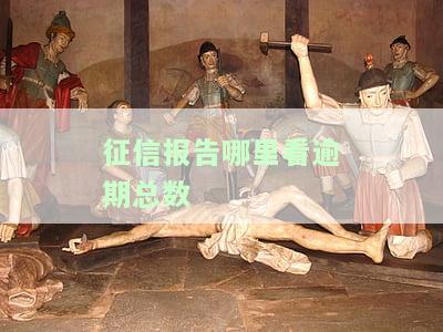 征信报告哪里看逾期总数-征信报告哪里看逾期总数的