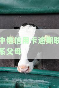 中信信用卡逾期联系父母