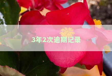 3年2次逾期记录怎么查，如何查询个人信用报告中的3年2次逾期记录？