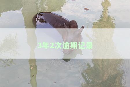 3年2次逾期记录多久消除？影响信用恢复时间的因素解析