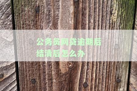 公务员网贷逾期太多会辞退吗，公务员网贷逾期过多，是否会导致被辞退？