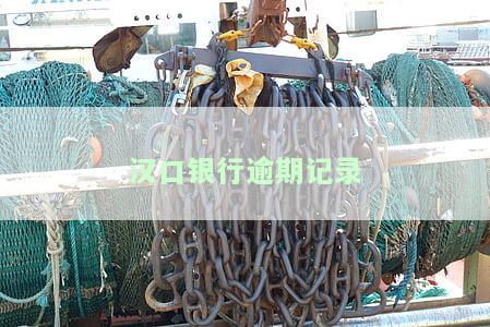 汉口银行征信查询系统：一站式官方服务平台