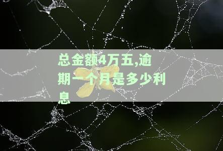 逾期4万一年多少罚息，逾期4万一年的罚息是多少？你需要知道的关键信息