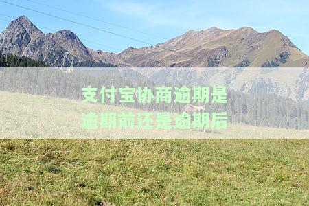 支付宝逾期协商：如何联系客服，能减免多少?