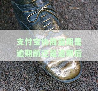 支付宝逾期协商方案：成功案例与可能的催收方式