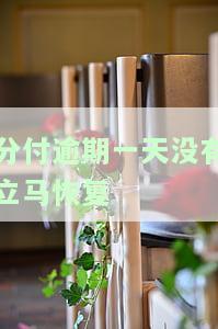 分付逾期一天没有立马恢复额度了，忘记还款？'分付'逾期一天后额度仍未恢复！