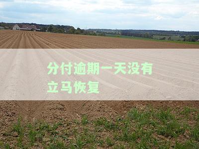 分付逾期一天两天有影响么，分付逾期：一天两天的影响有多大？