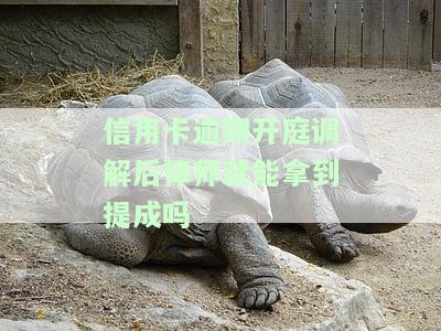 信用卡逾期开庭调解后，律师能否获得提成？——知乎上的讨论与分析