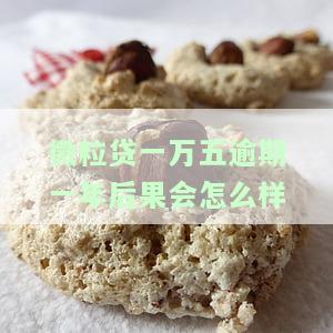 微粒贷逾期一万五多久会被起诉？影响因素与后果解析