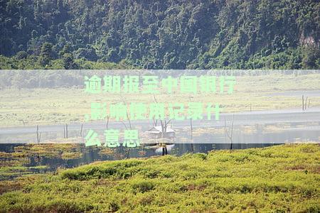 逾期记录上报了中国银行以后是不是不能贷款了，逾期记录上报中国银行后，是否会影响贷款申请？