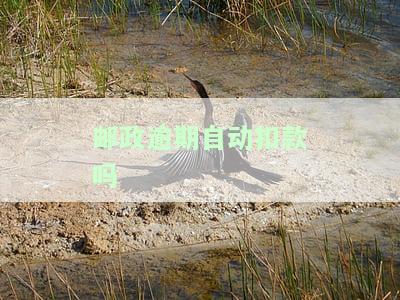 邮政逾期自动扣款吗-邮政逾期自动扣款吗怎么办