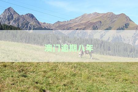 澳门逾期2年的处罚规定是什么？