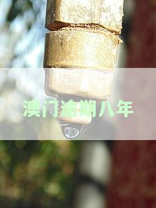 在澳门逾期一年会怎样，澳门逾期一年：后果严重，不可忽视！