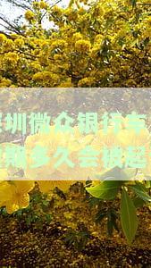 微众银行车贷逾期多久会被起诉收车，逾期多久？微众银行将采取法律行动收回车辆