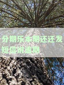 分期乐逾期发短信：一小时内还款，否则全部欠款立即偿还
