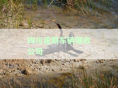 四川逾期车辆催收公司名单，四川地区逾期车辆催收公司全名单公布